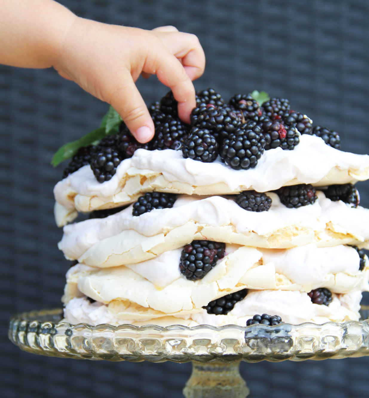 Dort Pavlova
